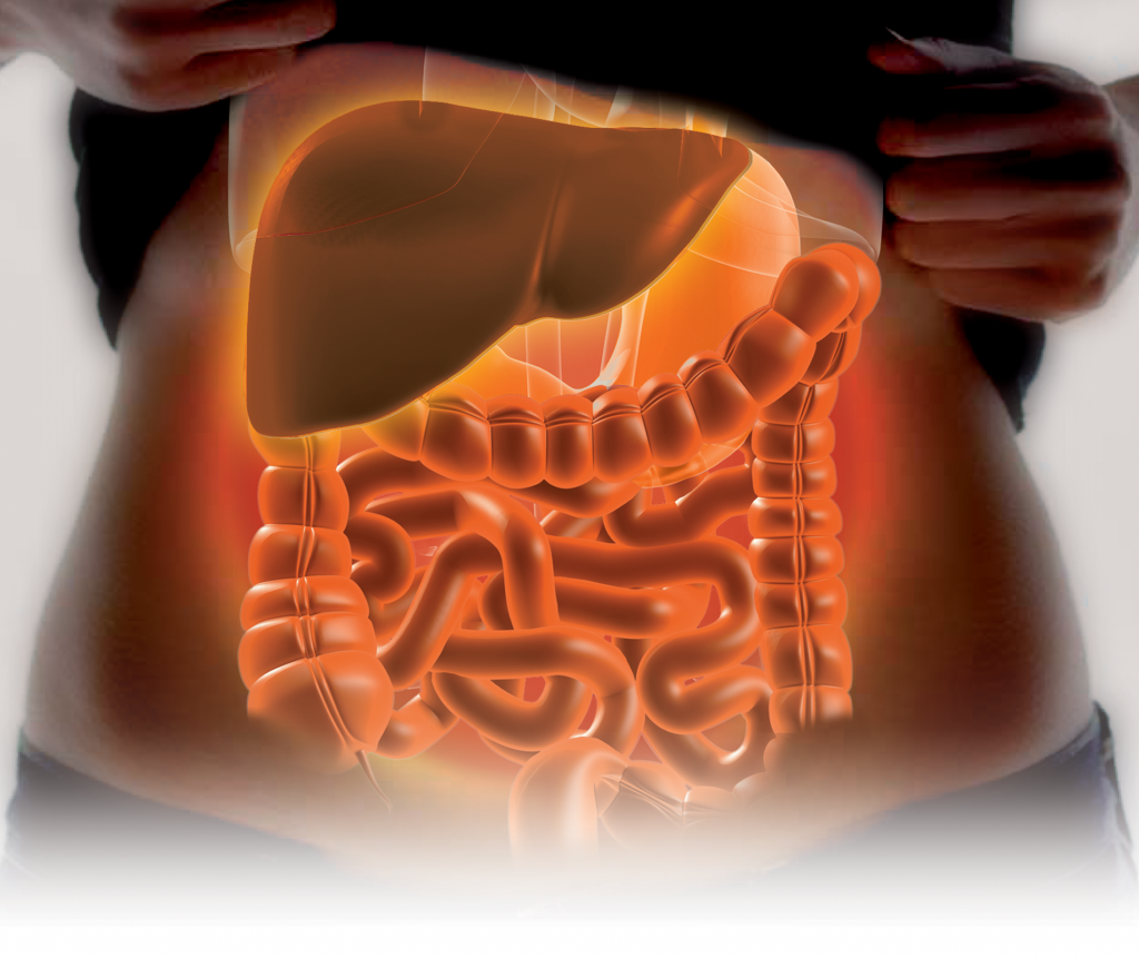 Trastornos digestivos - Área científica Laboratorios Menarini perú